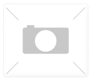 Large_reg-1