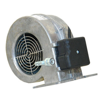 Blower for boiler, WPA 120 fan with flap