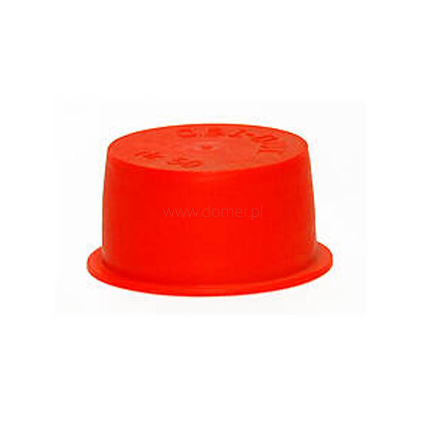 Red internal cap 2 inch plug - 41 0080
