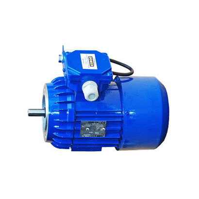 Silnik 0,25 kW Besel przełacznik prawy/lewy do motoreduktora Piecyk 1