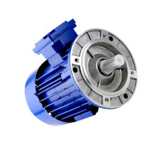 Silnik do dmuchawy Besel wentylator 102 0,25 kW SSKh 71-2A - 2